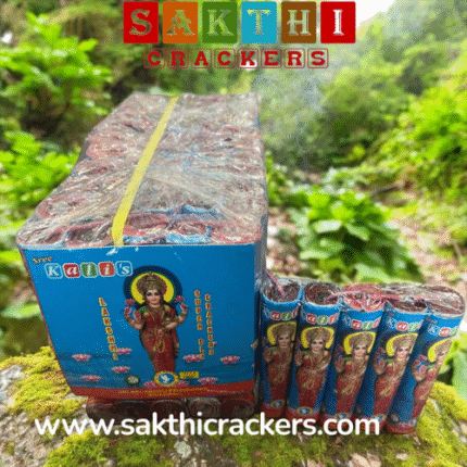 4" Lakshmi / Appu
