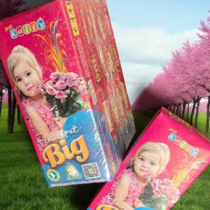 Flower Pots Big